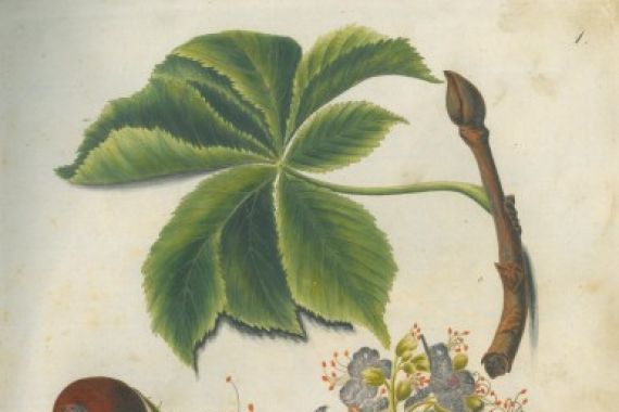 G.F. Abel I. D. Reiter