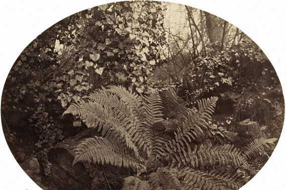 Geoffrey Bevington