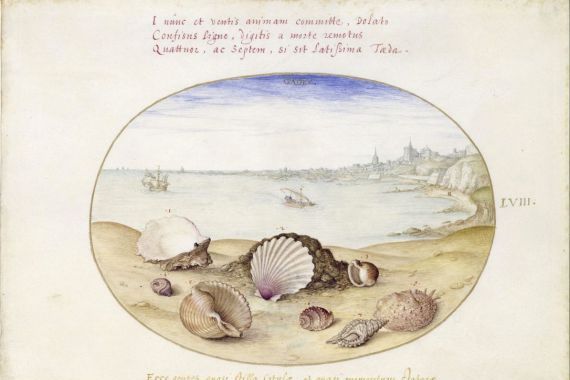 Georg Hoefnagel