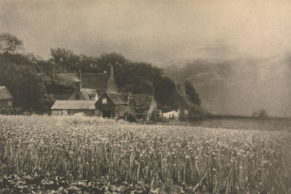 George Davison