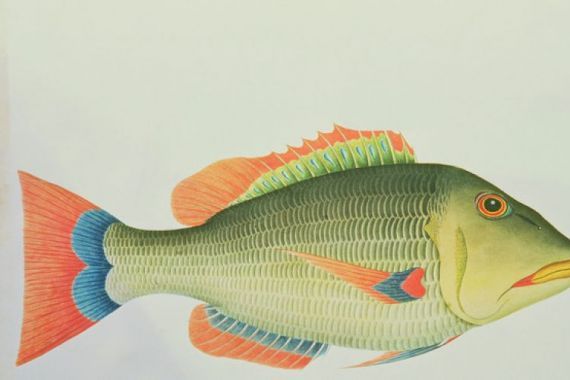 George Raper