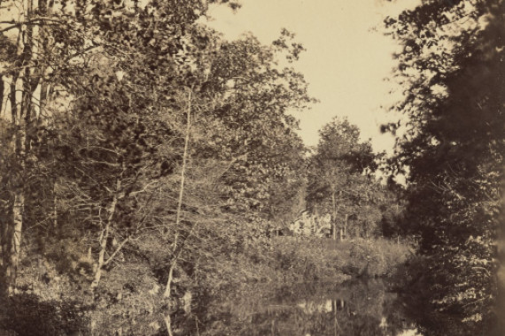George Rockwood Gardner