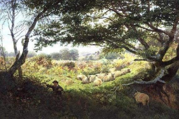 George Shalders