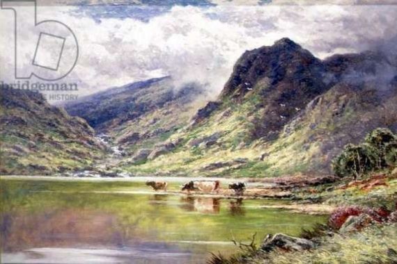H.D. Hillier