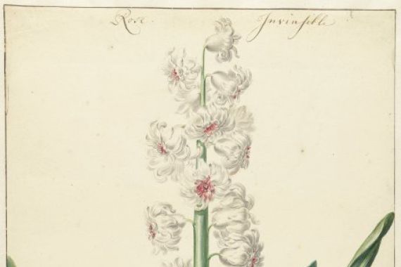 Hendrik Budde