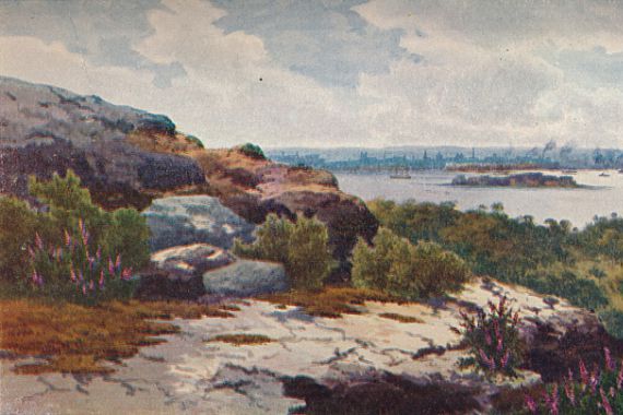 Henri Tebbitt