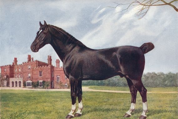Henry Powell Palfrey