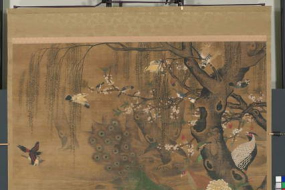 Hong Yin