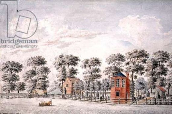 I. Chapman