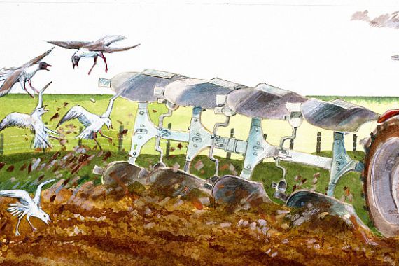 Ivan Lapper/Judith Dobie