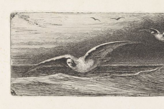 Jacobus Hermanus Otterbeek