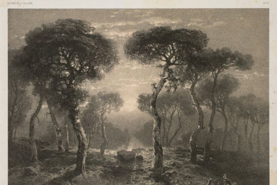 Jacomme and Cie. R. de Lancry, 12, Paris