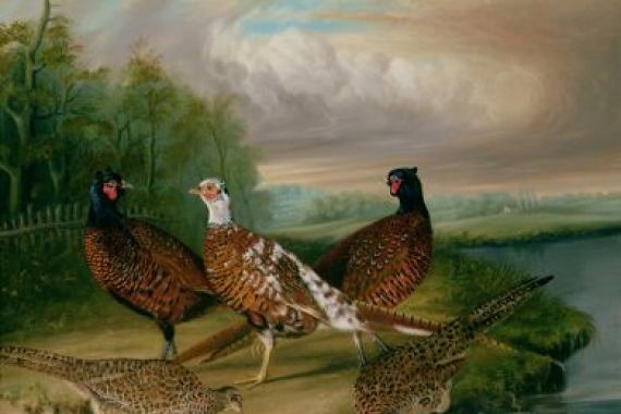 James Blazeby