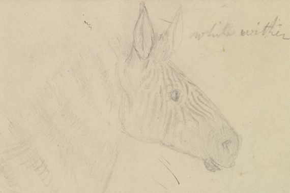 James de Carle Sowerby