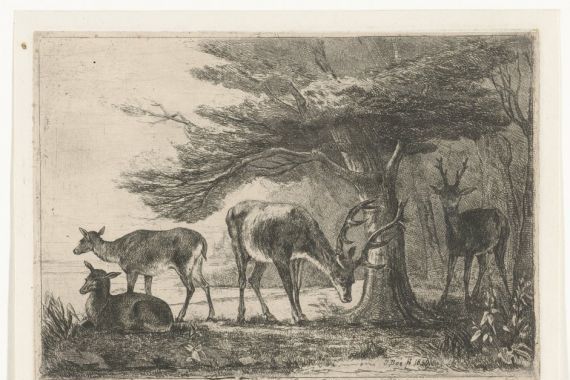 Jan Bos Wz.