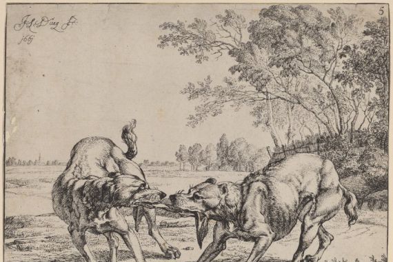 Jan le Ducq