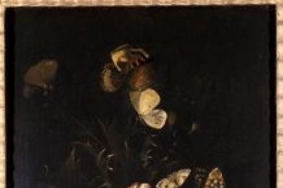 Johann Christian Thomas Winck