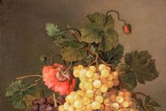 Johannes Cornelis Bruyn