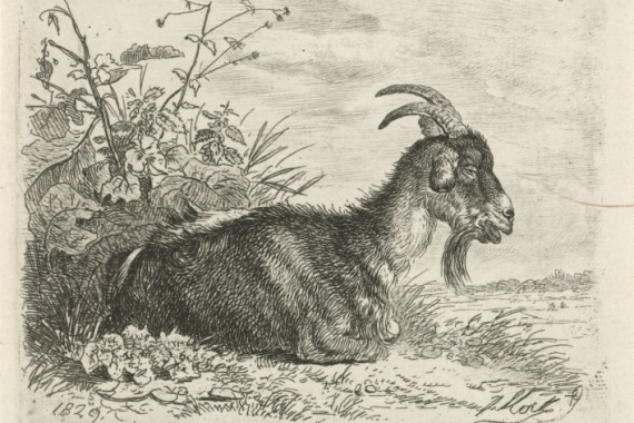 Johannes Mock
