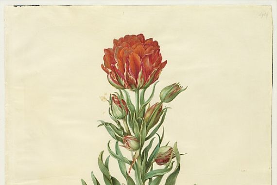 Johannes Simon Holtzbecker