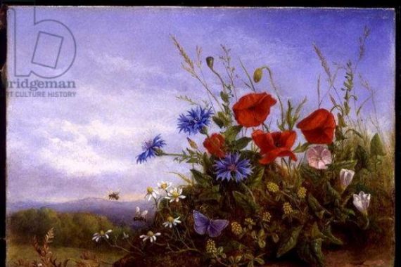 John Rees