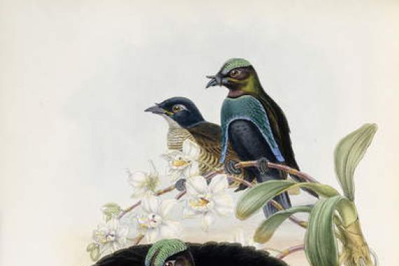 John and Hart William Gould