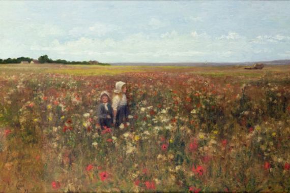 Kate Colls