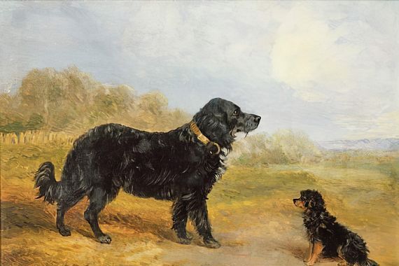 Loey Campbell