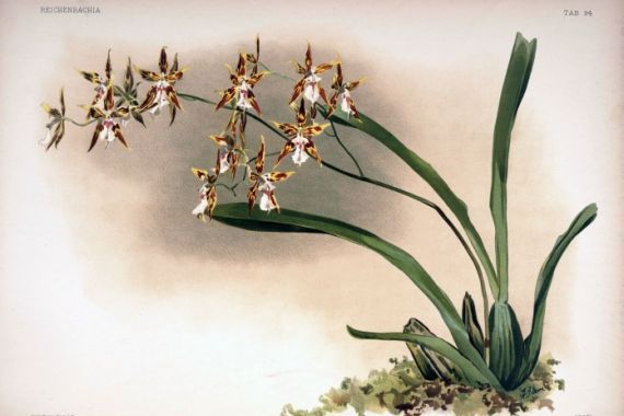 London H. Sotheran and Co.