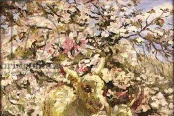 Lucy Marguerite Frobisher