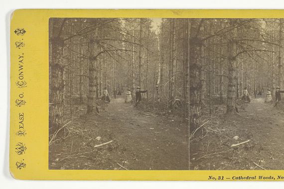 N.W. Pease