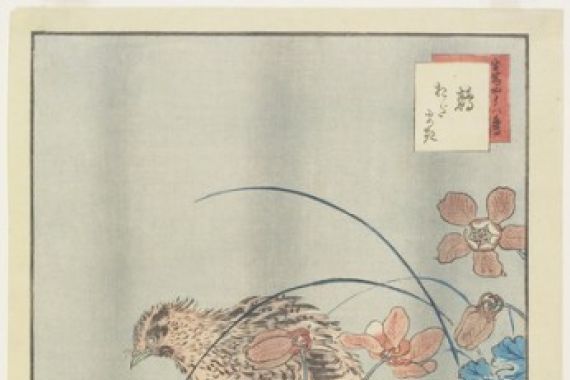 Nakayama Sugakudo