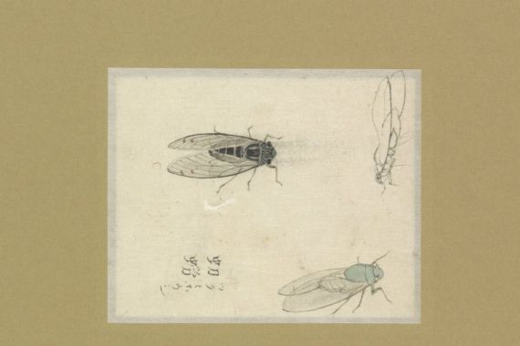 Nonoyama Kozan (possibly)