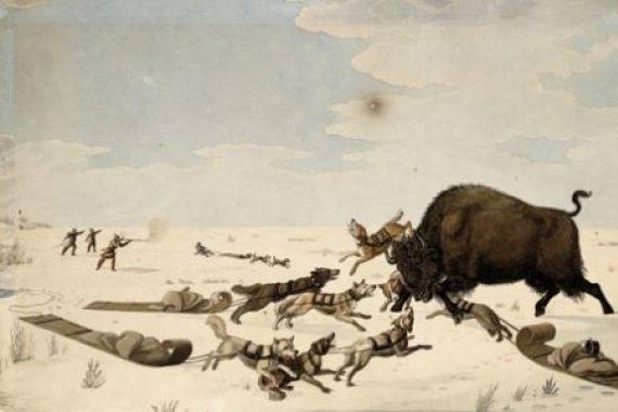 Peter Rindisbacher