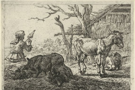 Pieter Bodding van Laer