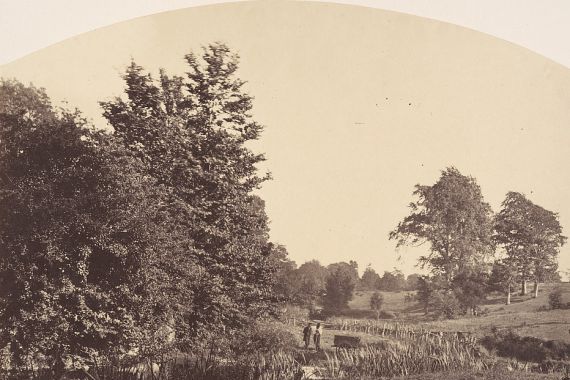 Plunket
