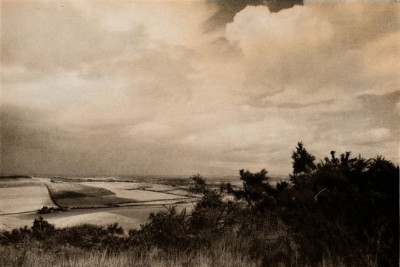 Reginald Belfield