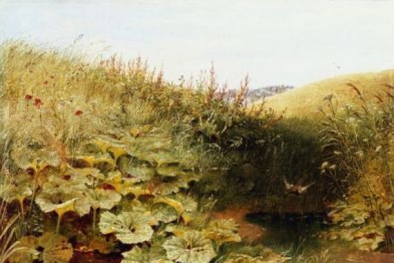 Robert Collinson