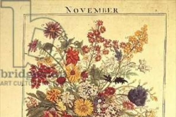 Robert Furber