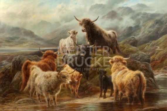 Robert Watson