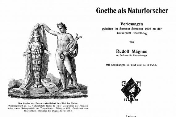 Rudolf Magnus