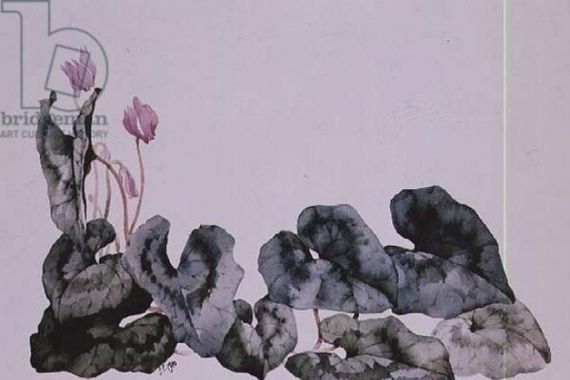 Sarah Creswell