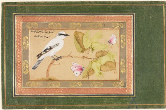 Shafi' Abbasi