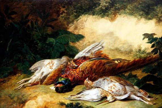 Stephen Elmer