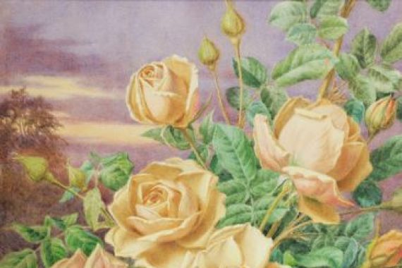 Thomas Frederick Collier