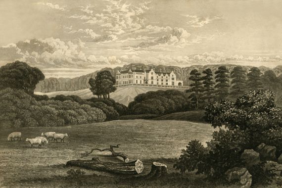 Unknown/Dean Wolstenholme