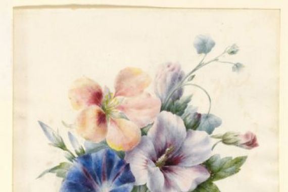 V. Medard