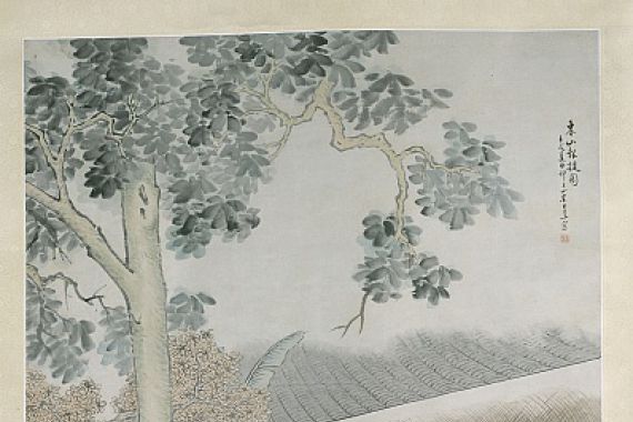 Wang Su