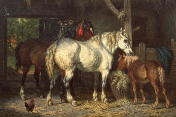 Willem Jacobus Boogaard