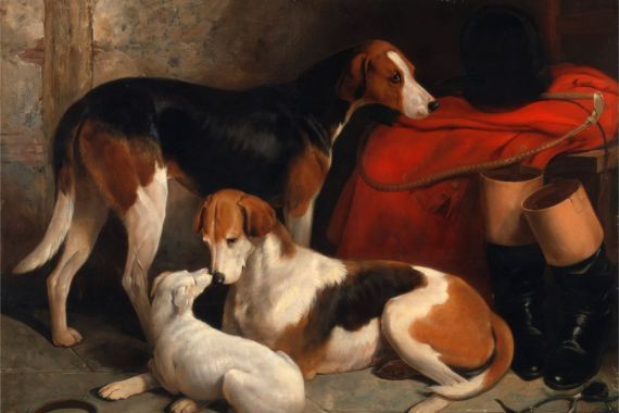 William Barraud